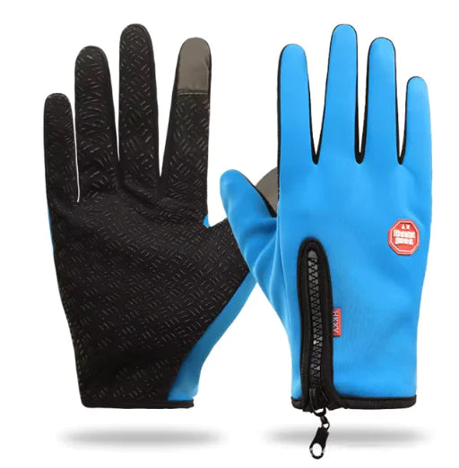 Winter Gloves